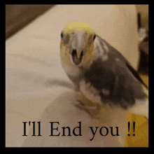 a picture of a bird with a caption that says i 'll end you