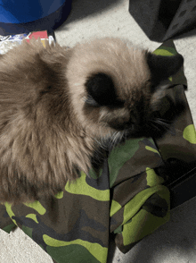 a cat laying on top of a green camo blanket