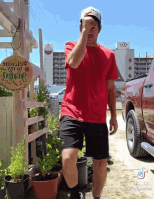 a man wearing a red shirt and black shorts stands in front of potted plants and a sign that says tomatoes