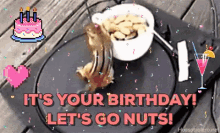 a birthday card with a chipmunk eating nuts and the words " it 's your birthday let 's go nuts ! "