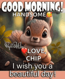 a picture of a squirrel with the words good morning handsome love chip i wish you a beautiful day ..