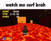 a screenshot of a video game with the words watch me surf brah at the top