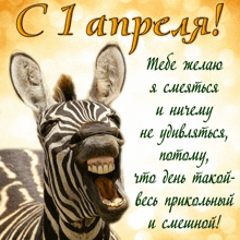 a picture of a zebra with its mouth open and the words " c1 апреля "