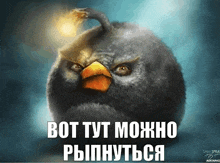 an angry bird with a bomb on its head and the words bot tut можно рыпнуться