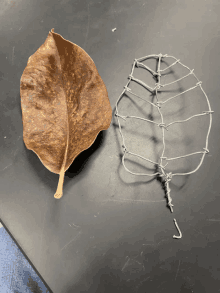 a brown leaf next to a wire leaf on a black surface