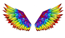 a pair of rainbow colored wings are against a white background