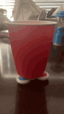 a red cup sits on a wooden table with a blue and white spinning base