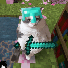 a cat wearing a helmet and holding a sword in a video game