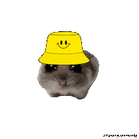 a hamster is wearing a yellow bucket hat with a smiley face on it