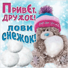 a teddy bear wearing a hat that says just for you is surrounded by snowballs