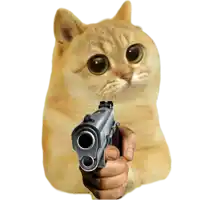 a cat is pointing a gun at someone