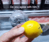 a person holding a lemon in front of a refrigerator with the words do you agree with him written on it