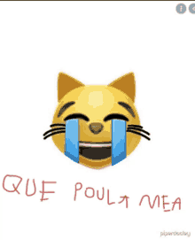 a cat emoji with tears coming out of its eyes and the words que poult mea written below it