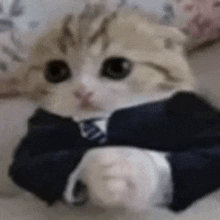 a cat wearing a suit and tie is sitting on a couch .