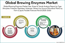 a poster showing the global brewing enzymes market size