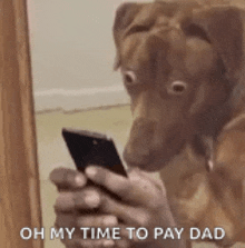 a dog is looking at a cell phone while a person holds it in their hand .