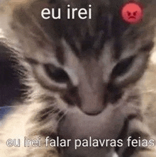 a close up of a kitten with a red angry face on its face .