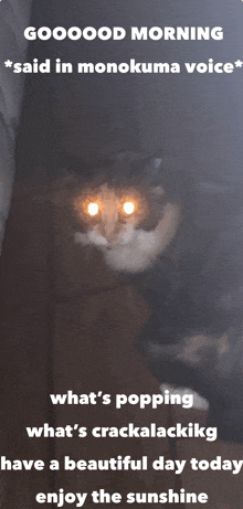 a picture of a cat with glowing eyes that says goooood morning