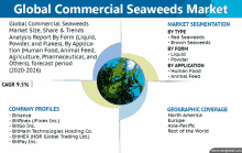 a poster titled global commercial seaweeds market with a picture of seaweeds