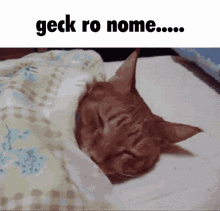 a cat is sleeping on a bed under a blanket with the words geck ro nome below it