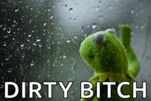 kermit the frog looking out a window with the words dirty bitch written below him