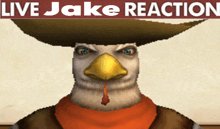 a picture of a chicken wearing a sombrero and a scarf with the words live jake reaction below it