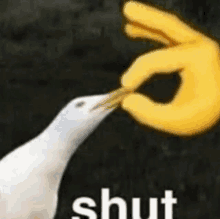 a white bird is being fed by a yellow hand that is making a shut sign .