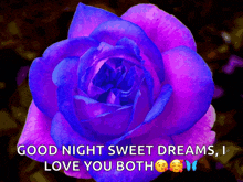 a blue rose with the words good night sweet dreams i love you both below it