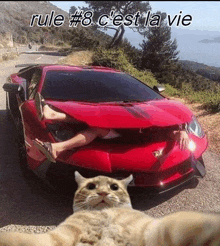 a cat is taking a selfie in front of a red sports car