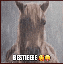 a picture of a horse with the words bestieee