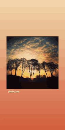 a picture of a sunset with trees in the foreground and the name @aike_bee at the bottom