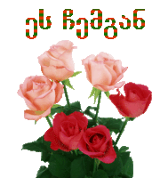 a bunch of pink and red roses on a white background with the words " congratulations " in red and green