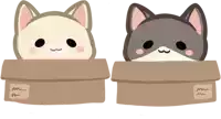 two cats are sitting in cardboard boxes with a label that says " mm "