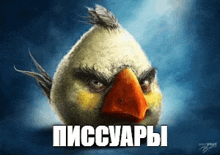 a picture of an angry bird with a caption that says " писсуары "