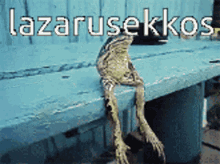 a frog is sitting on a blue bench with the words lazarusekkos written above it