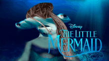 a poster for the little mermaid with a dolphin