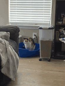 a cat is sitting in a litter box next to a container that says ' no ' on it