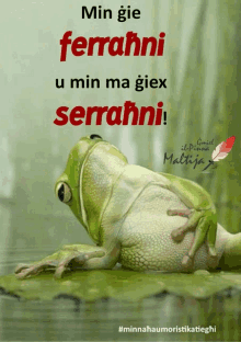 a picture of a frog with the words min gie ferrahni u min ma giex serrahni