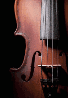 a close up of a violin with a black string