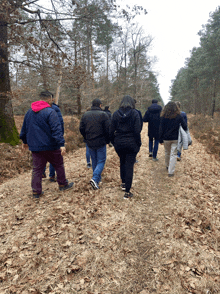 a group of people walking down a path with trees in the background