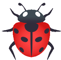 a ladybug with red and black spots on its back