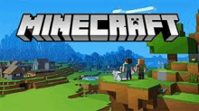 a man and a woman are standing on top of a hill in a minecraft video game .