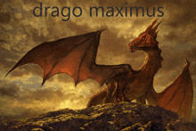 a picture of a dragon with the words drago maximus written above it