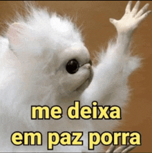 a white stuffed animal with the words me deixa em paz porra on it