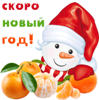 a snowman wearing a santa hat is surrounded by oranges and the words скоро новый год