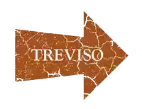 a brown arrow with the word treviso written in white