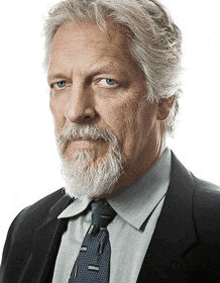 a man with a beard and gray hair is wearing a suit and tie .