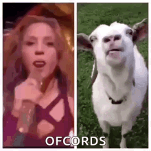 a woman is singing and a goat is standing in a field .