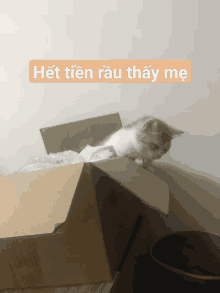 a cat is looking out of a cardboard box with the words het tien rau thay me written on the top