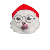 a white cat wearing a red hat and glasses licking its nose